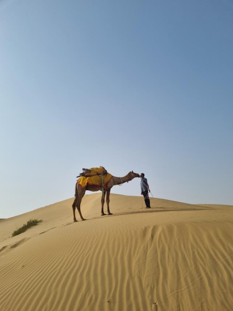 The Desert Under the Stars overnight safari