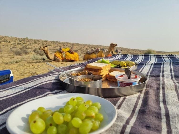 The Thar Experience overnight camel safari